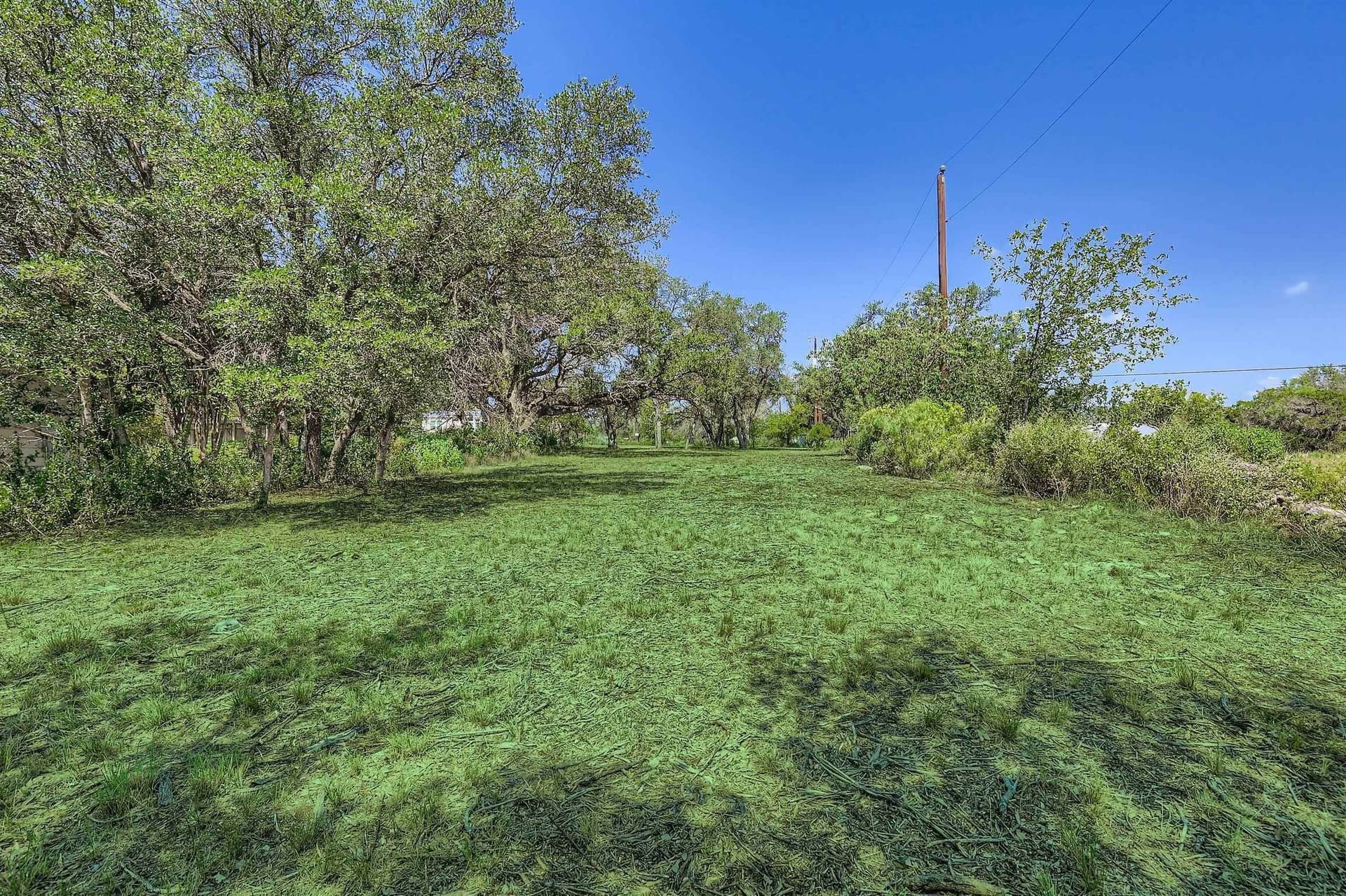 0.84 acres in Travis County - photo 9