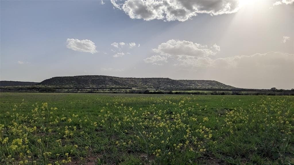 10.07 acres in Callahan County featured view