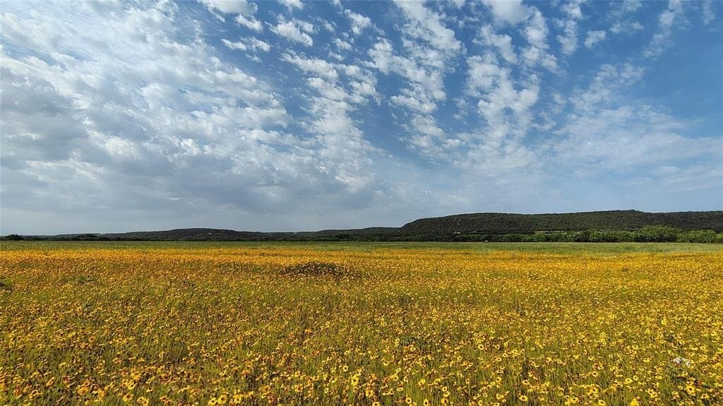 10.07 acres in Callahan County