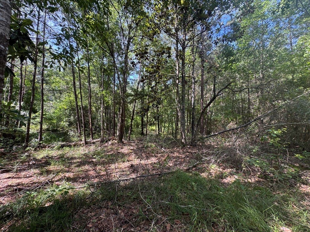 14.28 acres in Texas County - photo 13