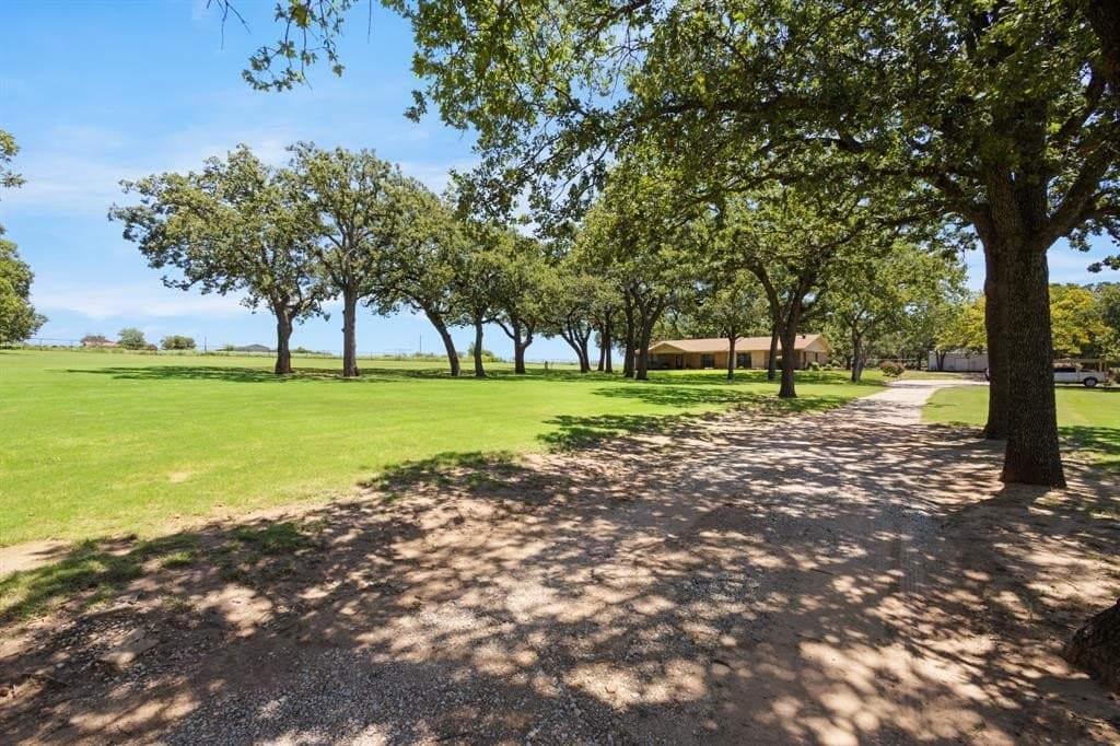 20 acres in Montague County gallery image 3