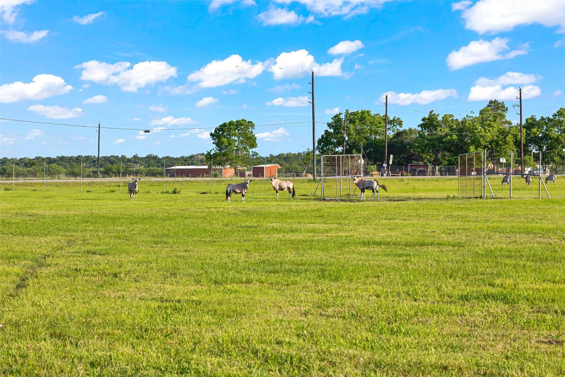 198.7 acres in Austin County - photo 27