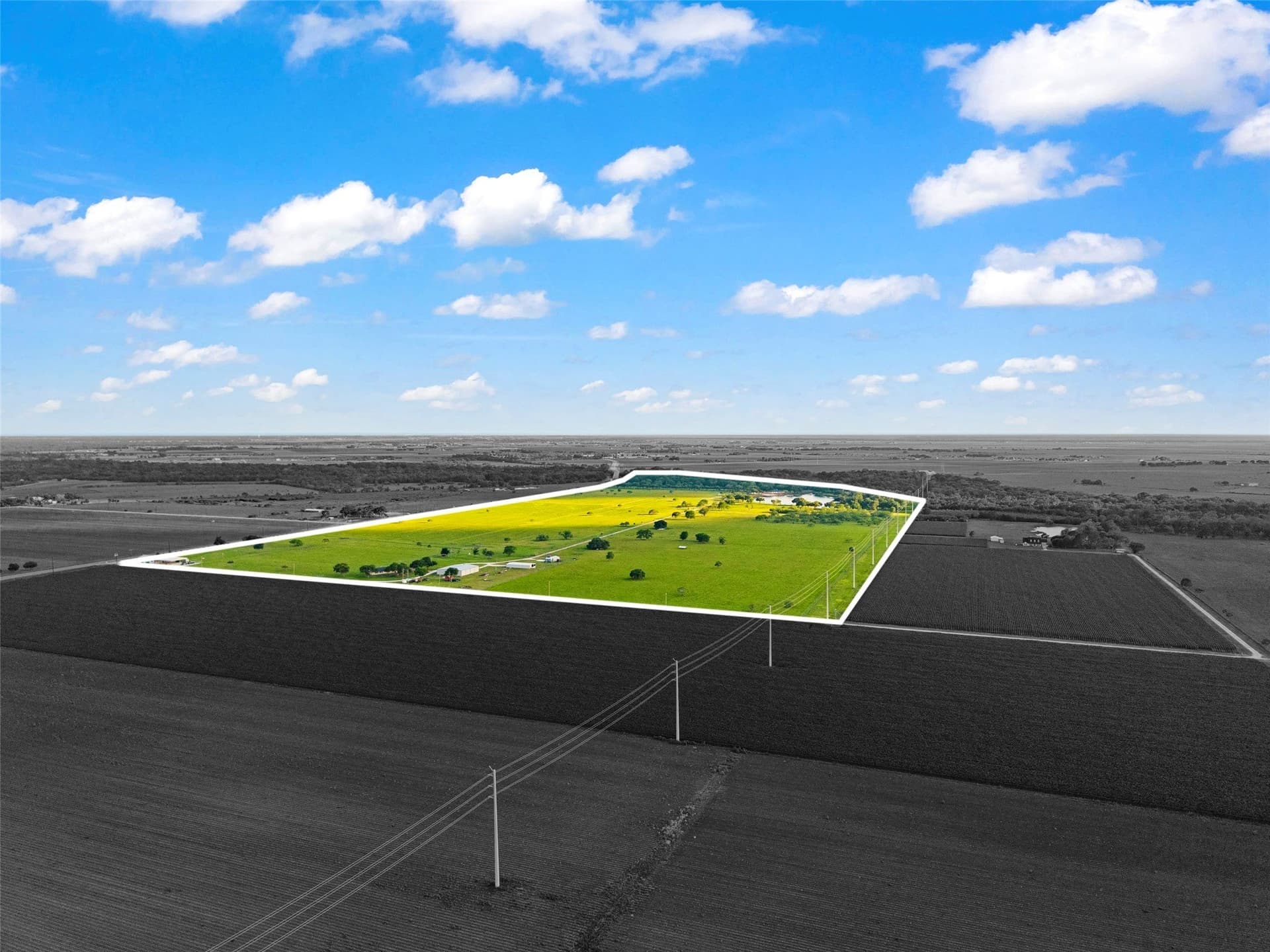198.7 acres in Austin County - photo 40
