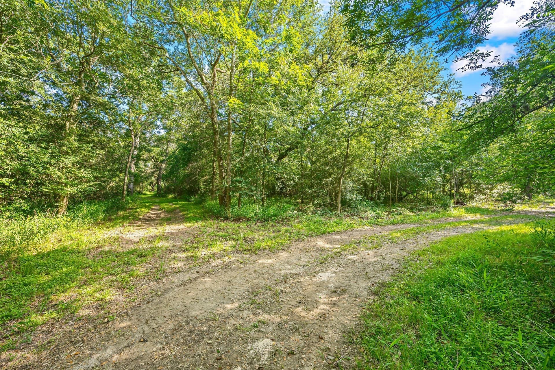 198.7 acres in Austin County - photo 21