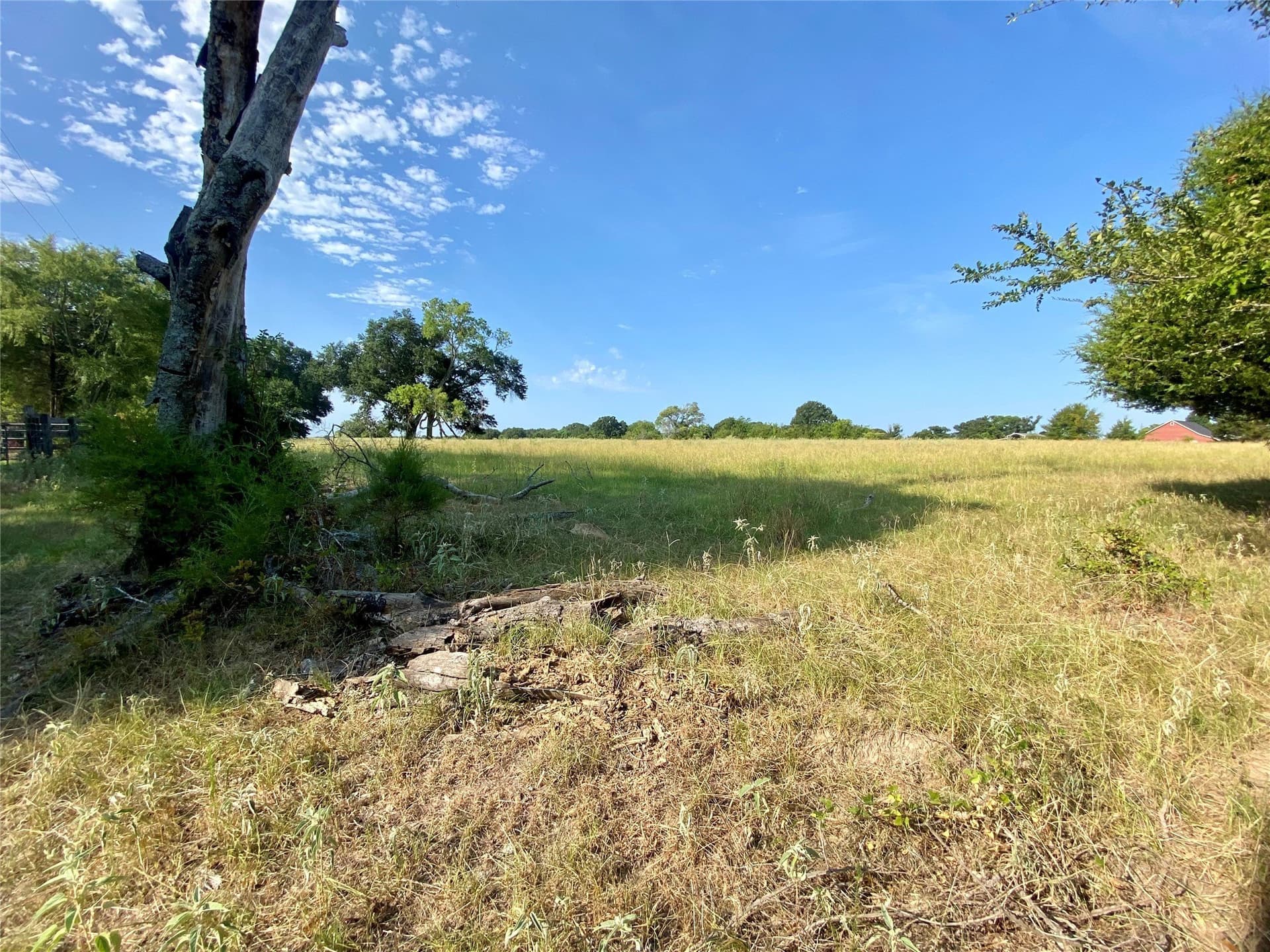 40 acres in Van Zandt County - photo 8