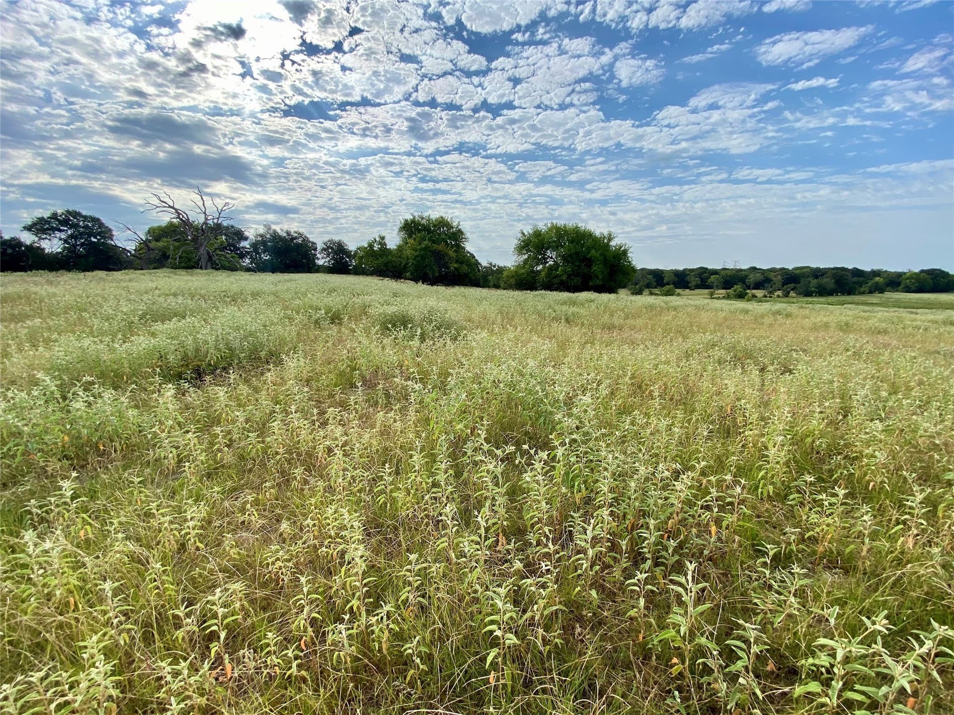 40 acres in Van Zandt County - photo 13