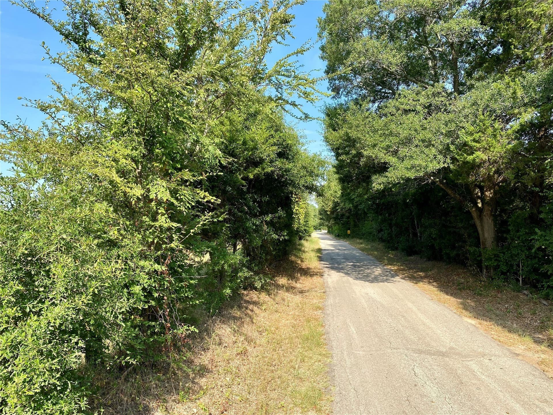 40 acres in Van Zandt County - photo 10