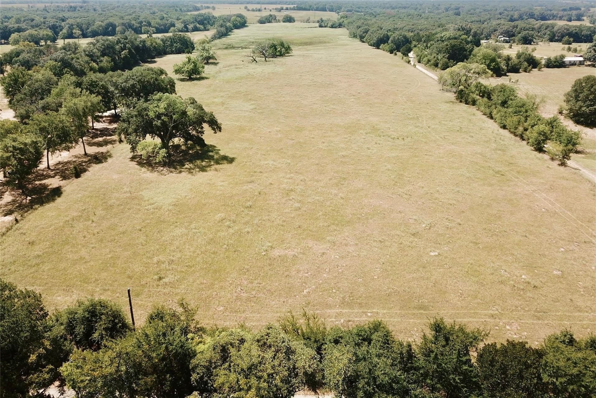 40 acres in Van Zandt County gallery image 3