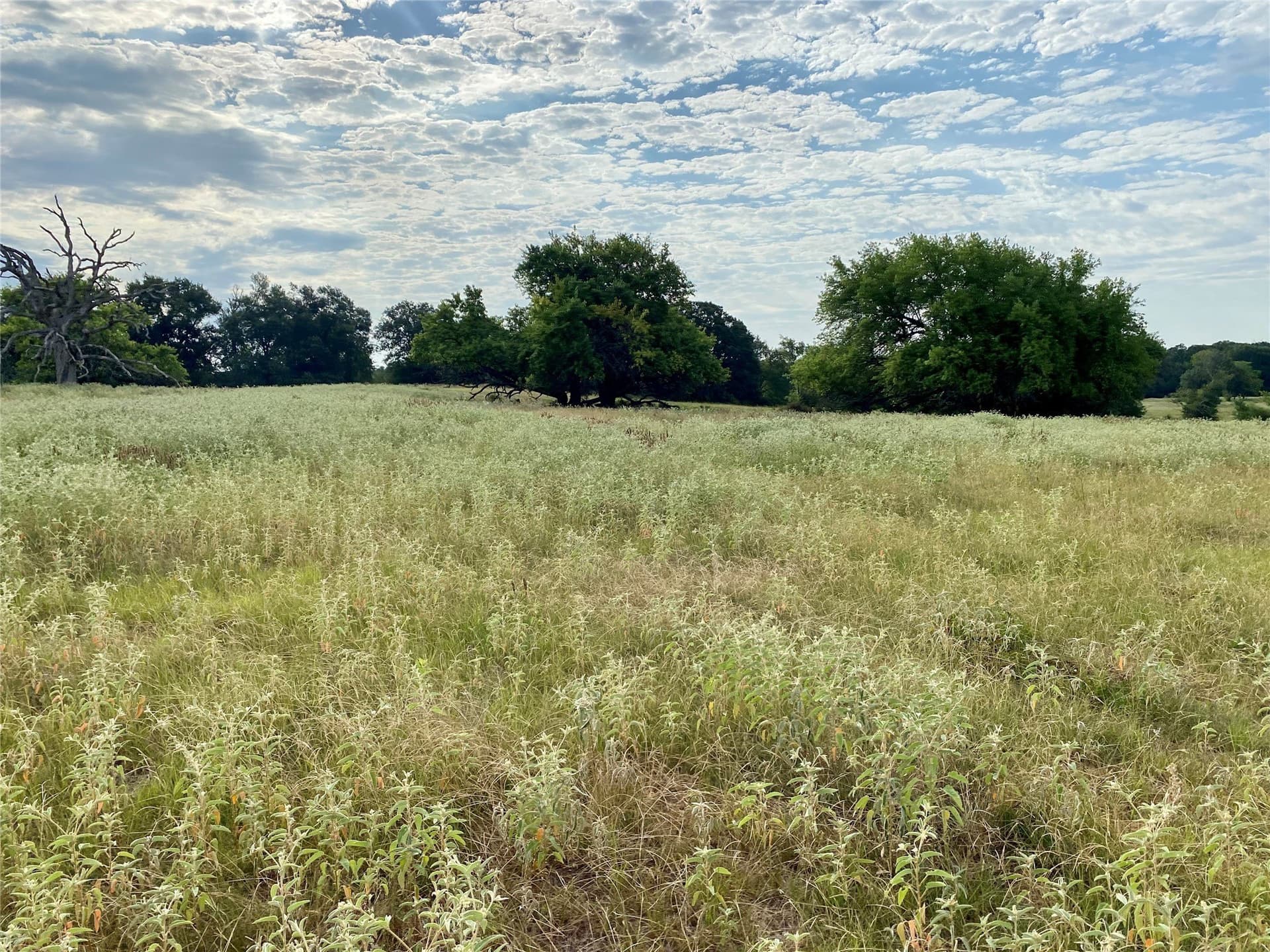 40 acres in Van Zandt County - photo 14