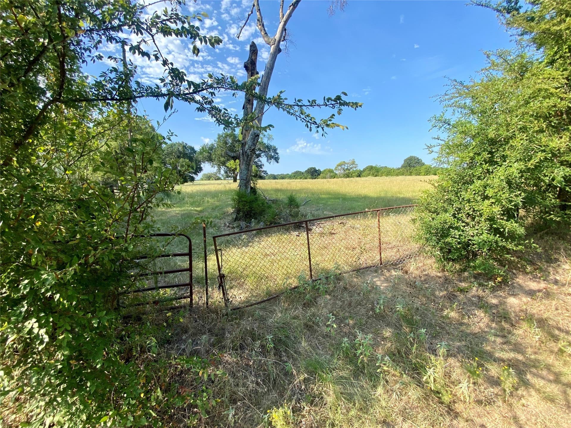 40 acres in Van Zandt County - photo 9
