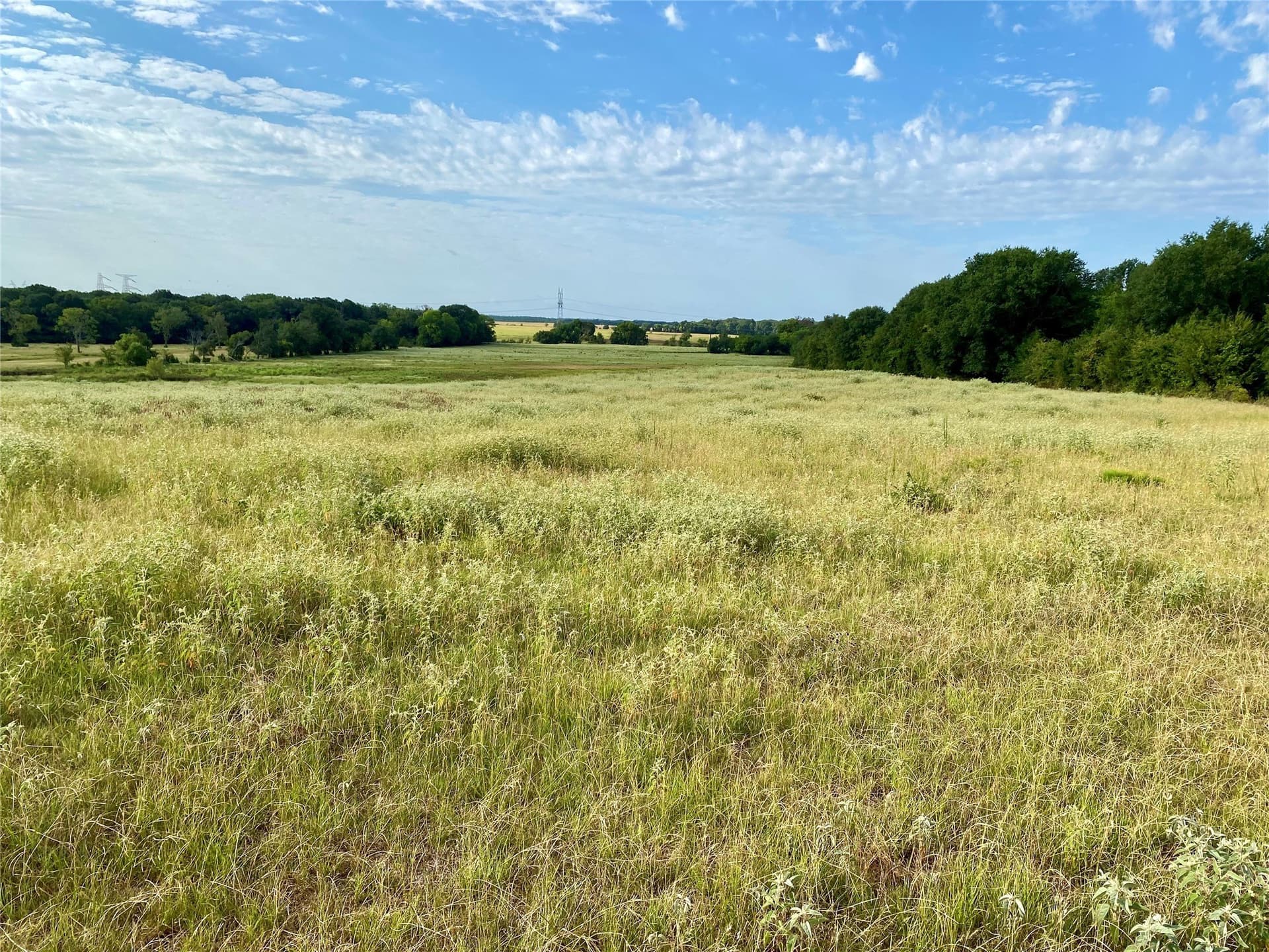 40 acres in Van Zandt County - photo 15