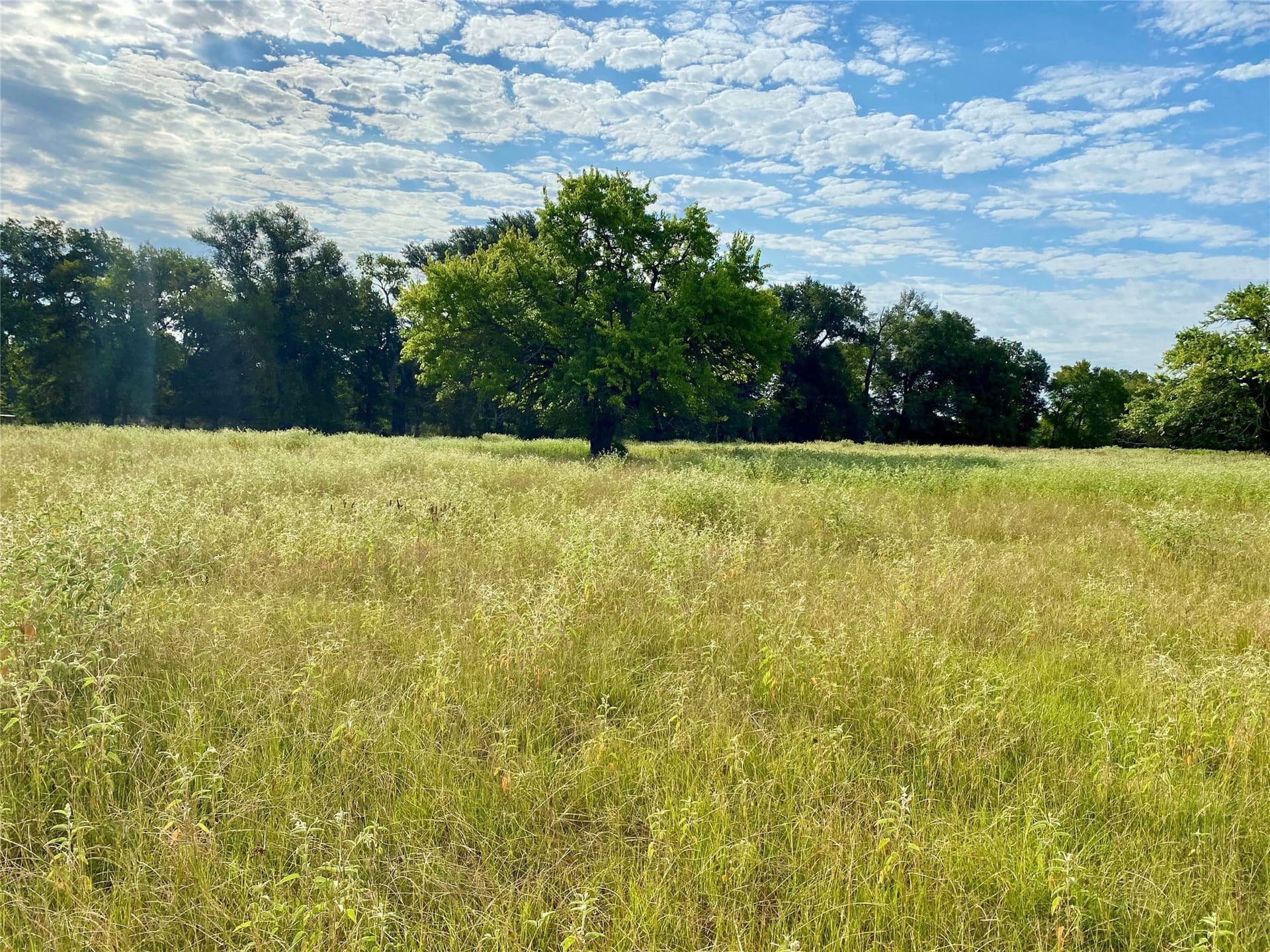 40 acres in Van Zandt County - photo 12