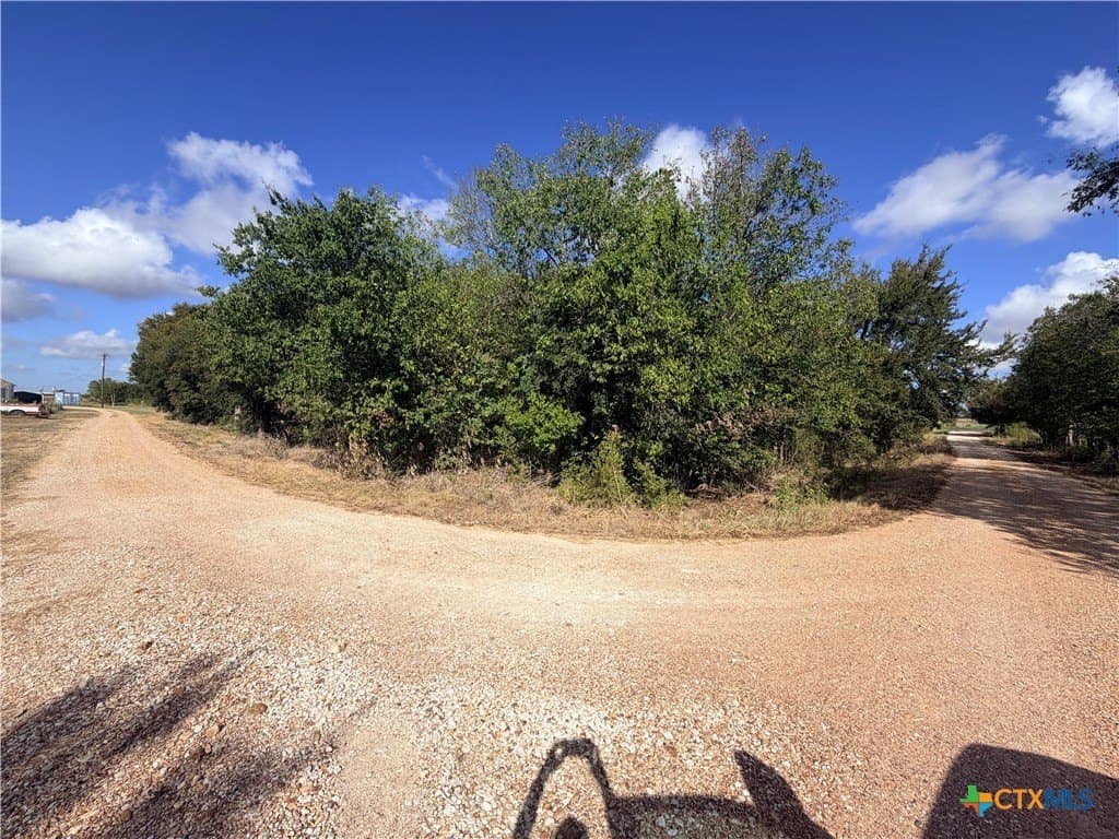 3.46 acres in Milam County - photo 10