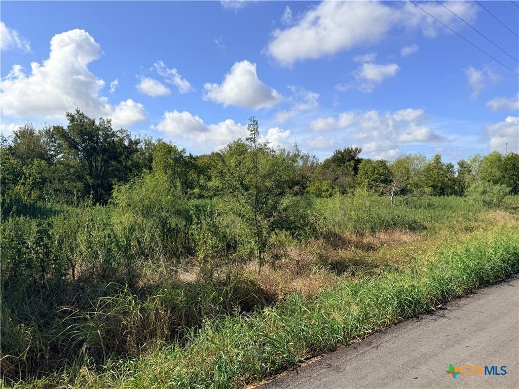 3.46 acres in Milam County - photo 9