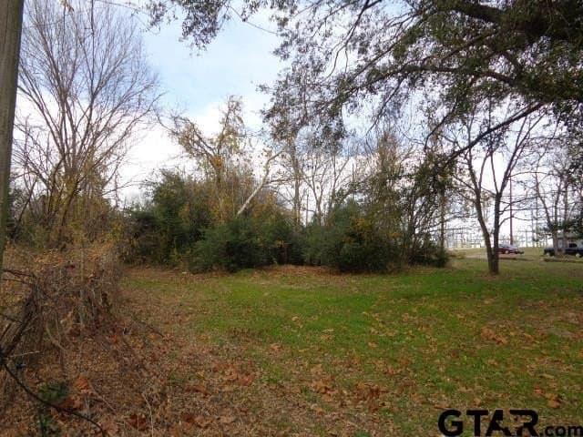 0.37 acres in Wood County gallery image 2