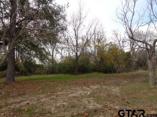 0.37 acres in Wood County featured view