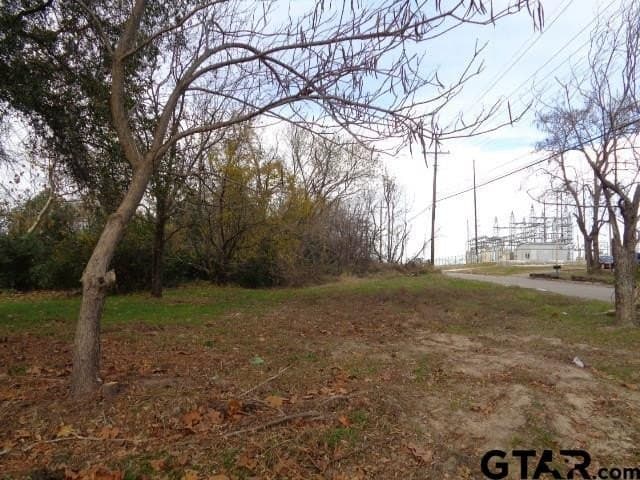 0.37 acres in Wood County gallery image 4