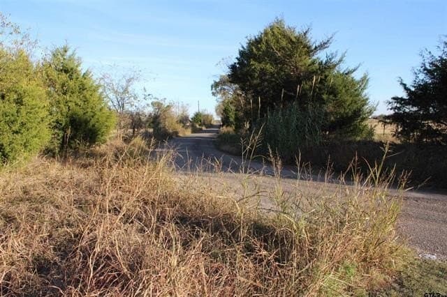 27.8 acres in Van Zandt County - photo 9