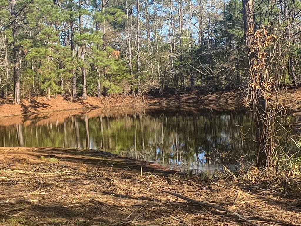 8.14 acres in Texas County - photo 15