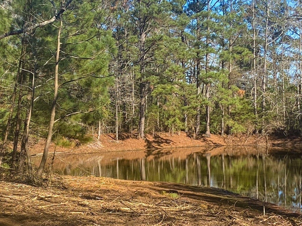 8.14 acres in Texas County - photo 21