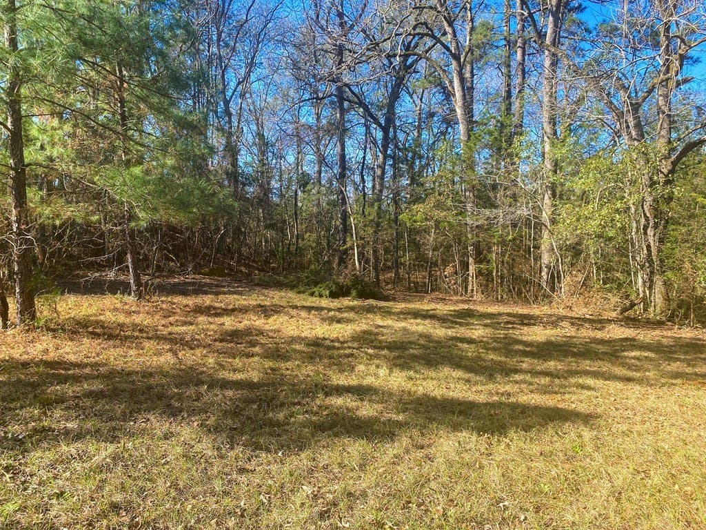 8.14 acres in Texas County - photo 11