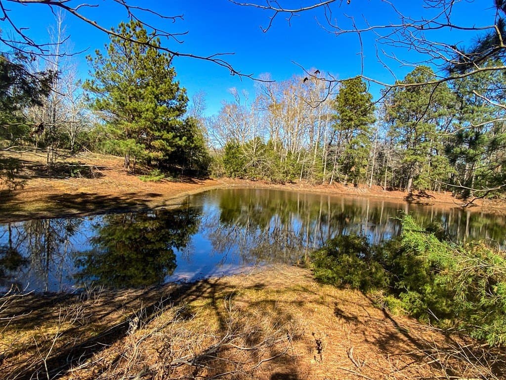 8.14 acres in Texas County - photo 14