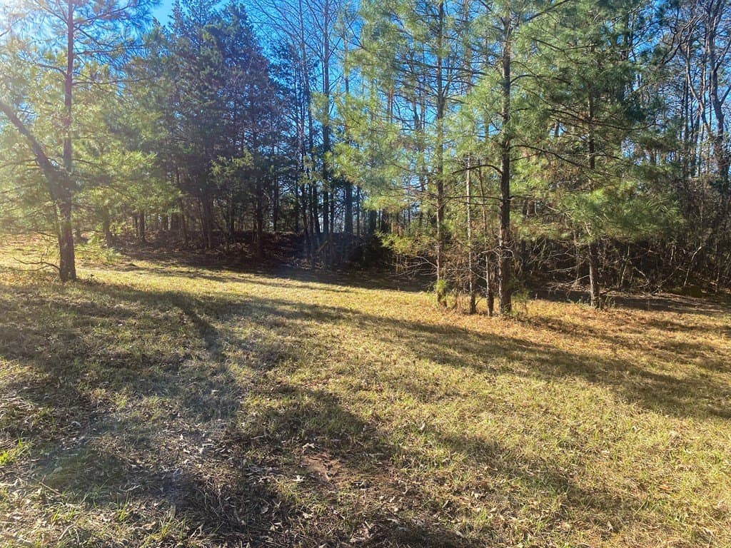8.14 acres in Texas County - photo 10