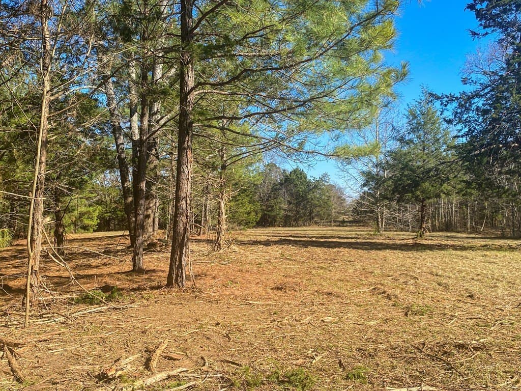 8.14 acres in Texas County - photo 20
