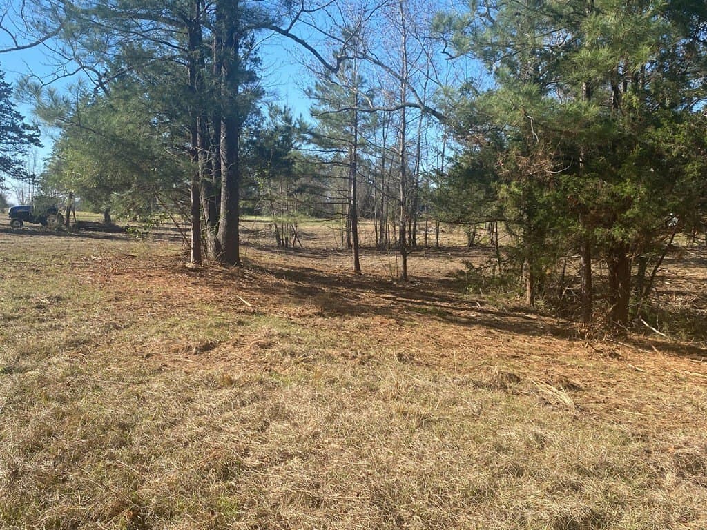 8.14 acres in Texas County - photo 17