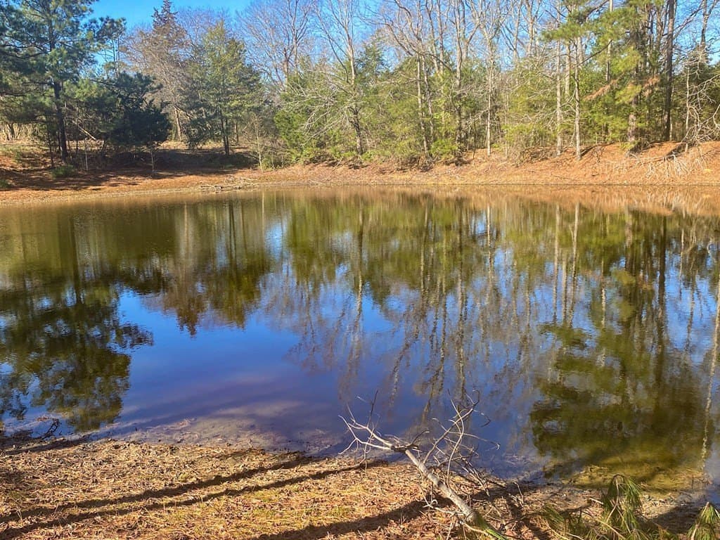 8.14 acres in Texas County - photo 13