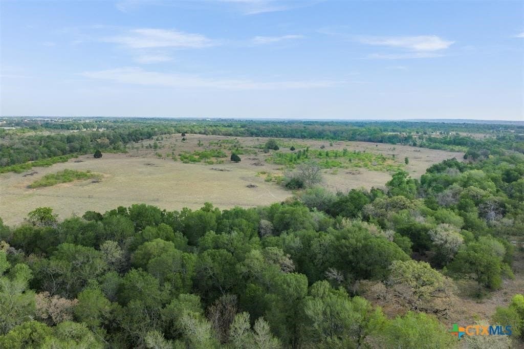 95.87 acres in Bastrop County - photo 15