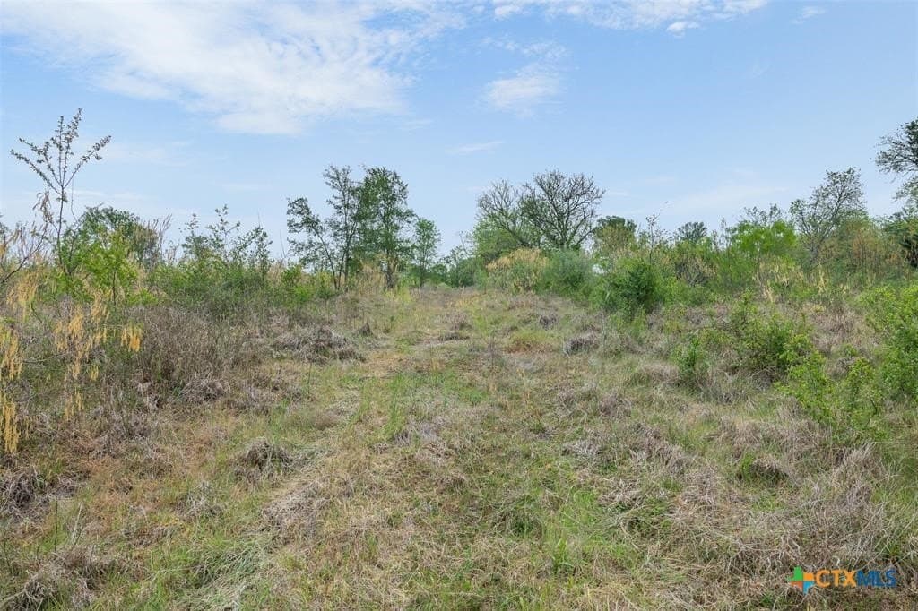 95.87 acres in Bastrop County - photo 38