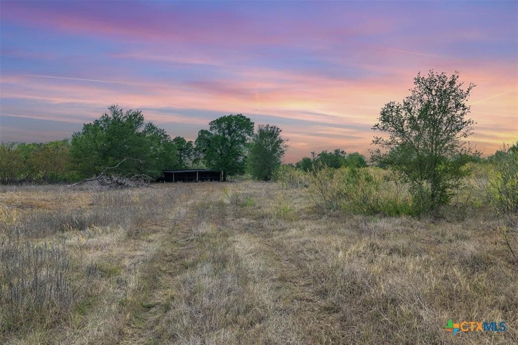95.87 acres in Bastrop County - photo 7