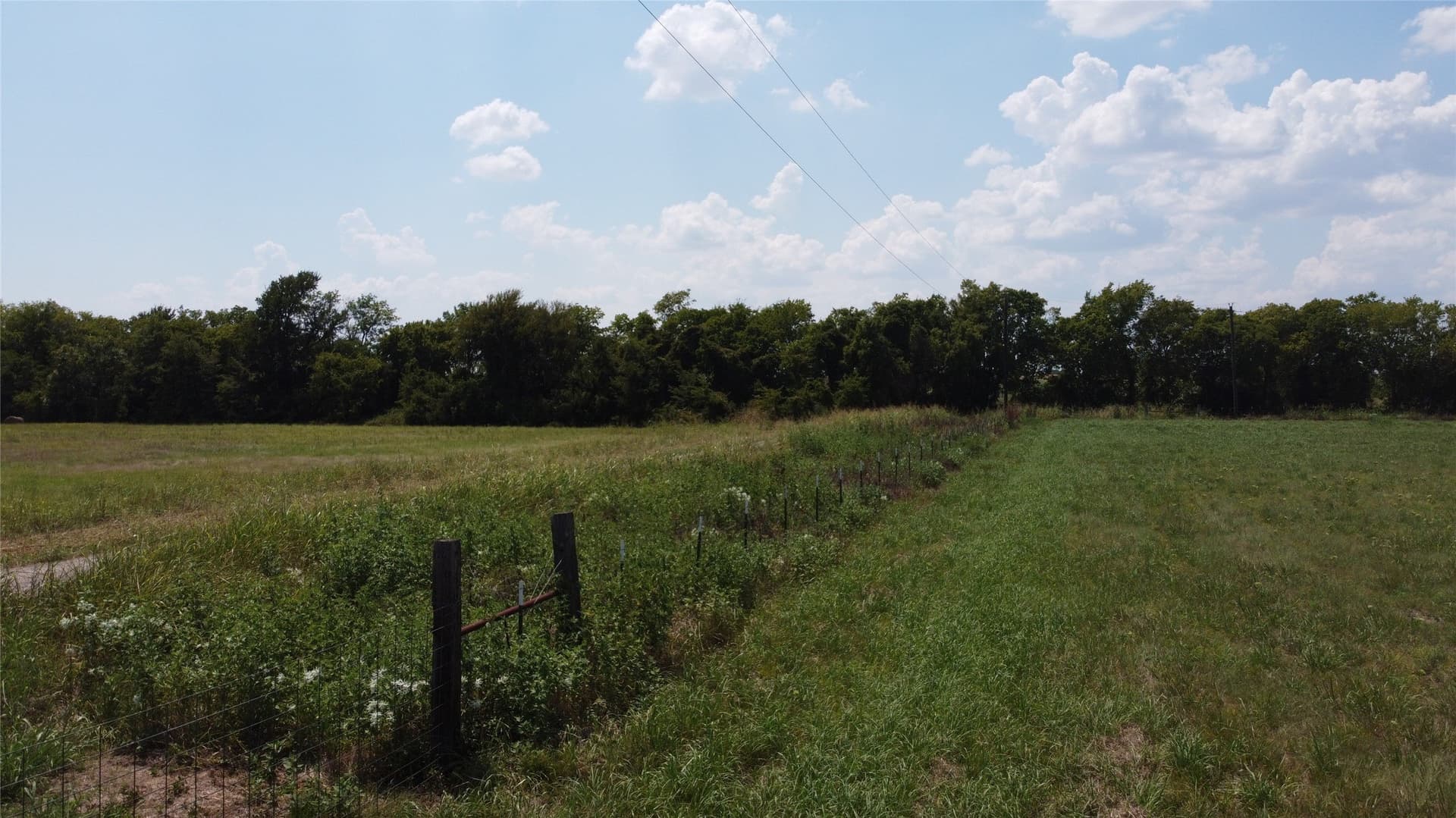 5 acres in Delta County gallery image 3