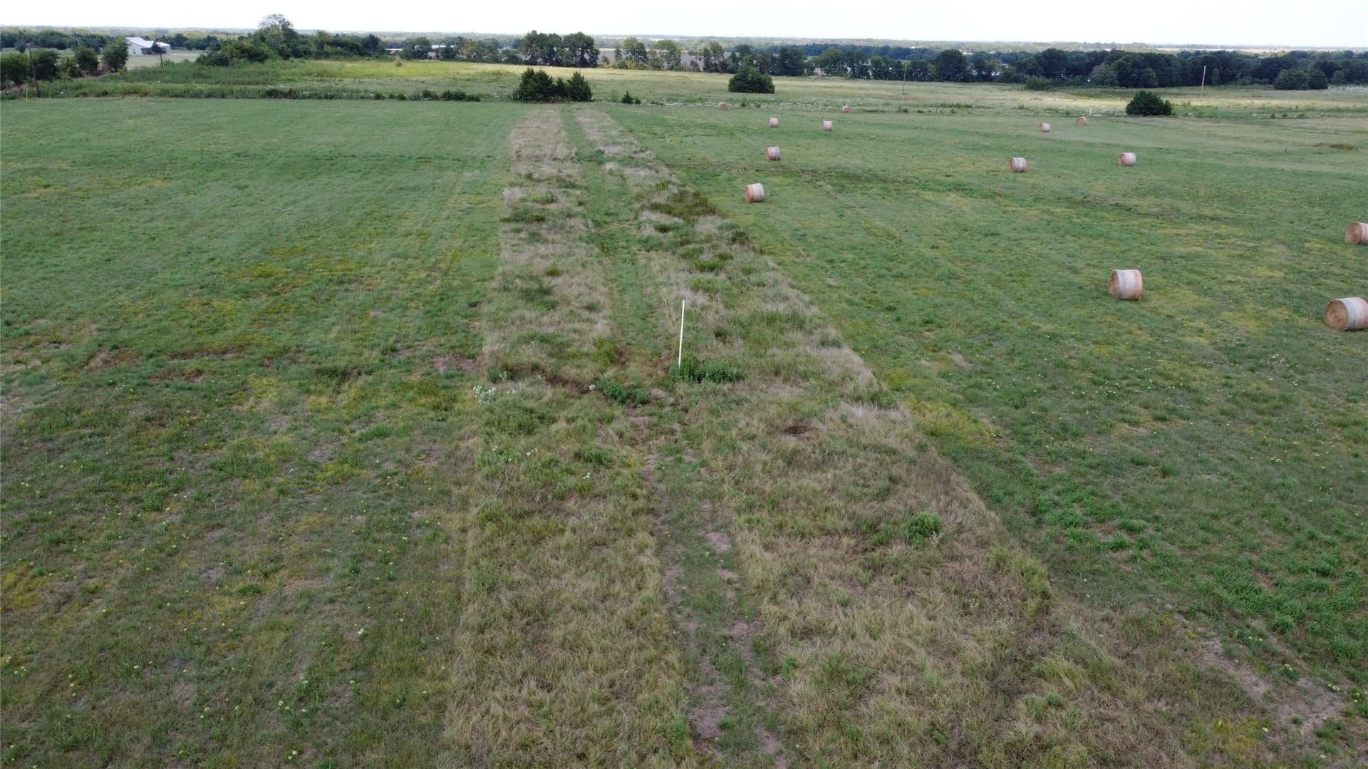 5 acres in Delta County gallery image 4