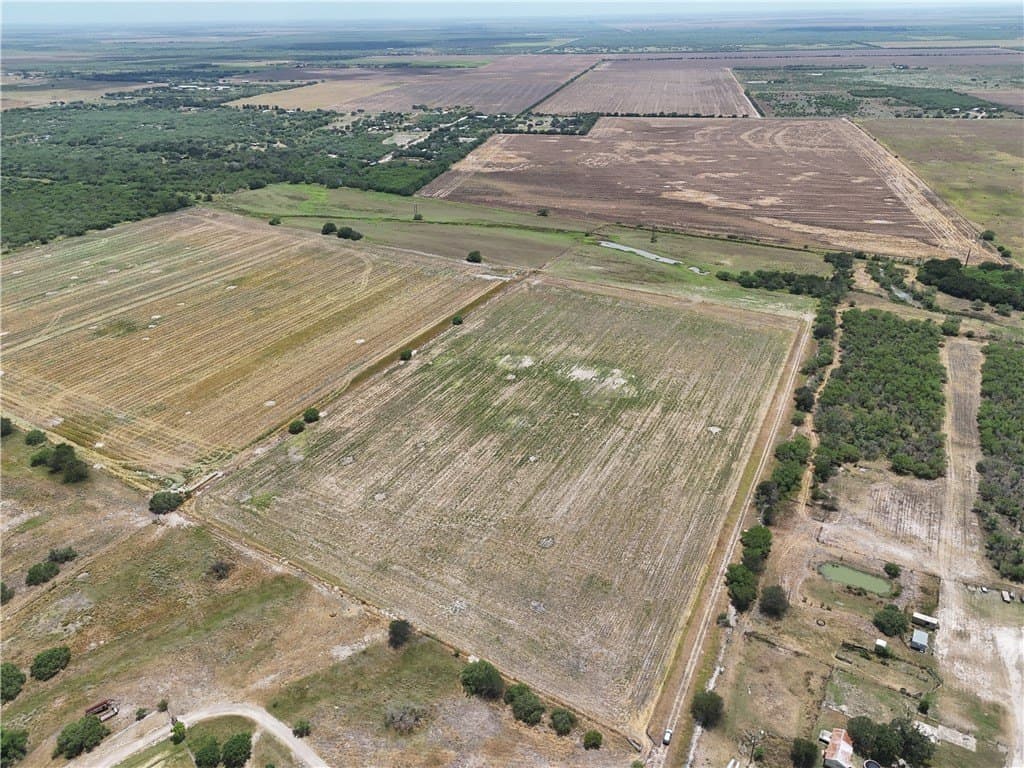 29.8 acres in Nueces County - photo 7