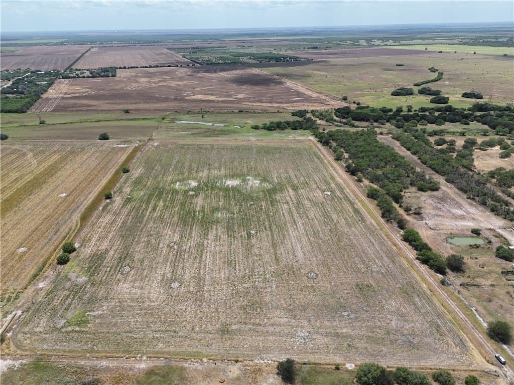 29.8 acres in Nueces County - photo 12