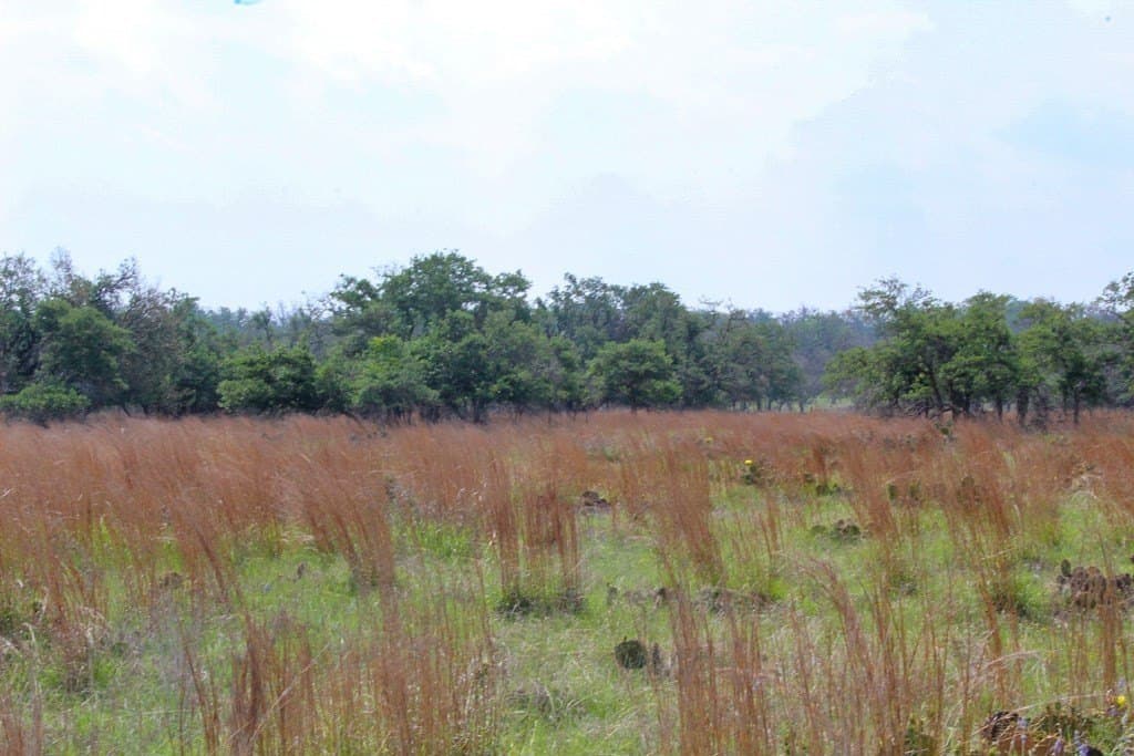 5.03 acres in Kerr County gallery image 2