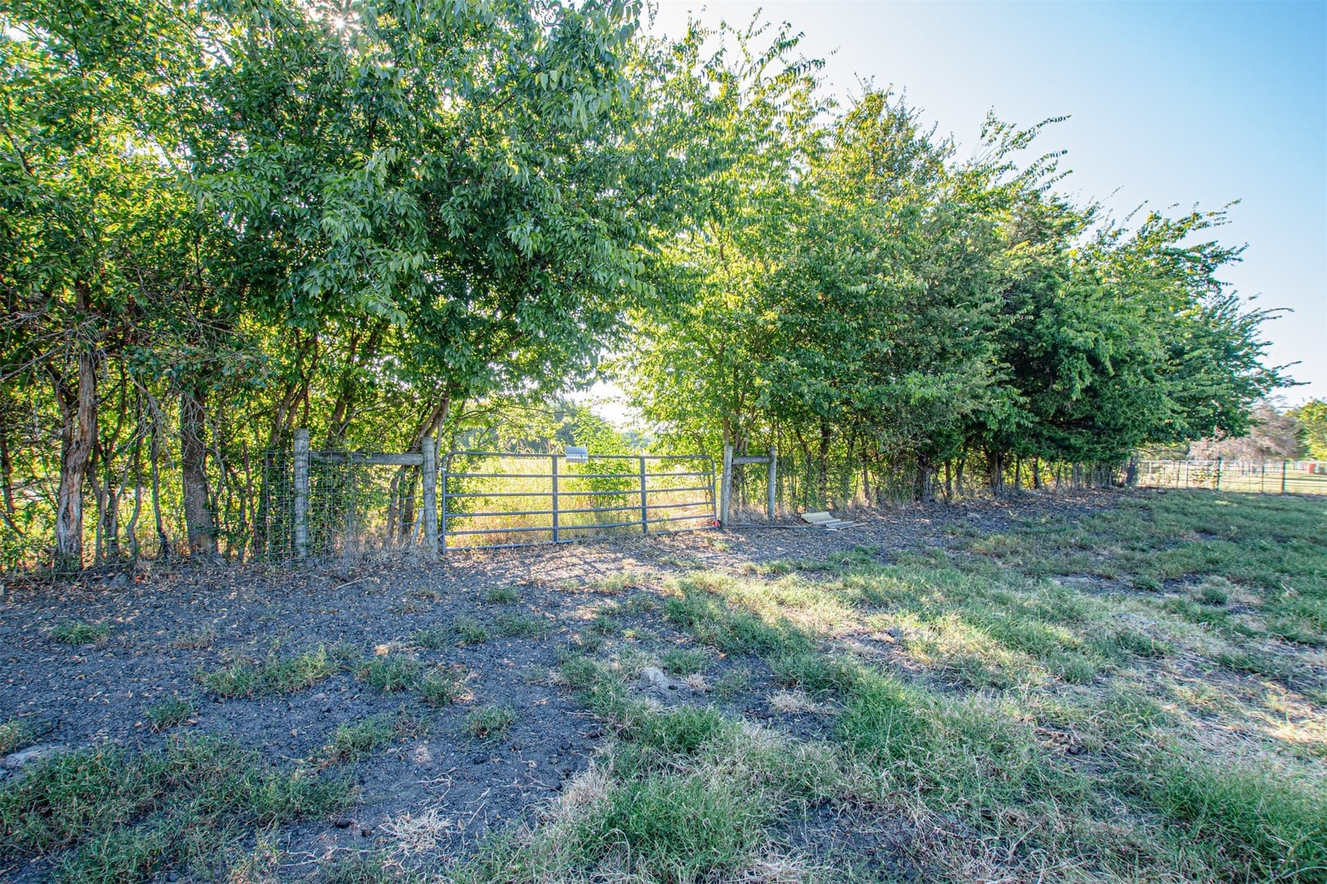 6.5 acres in Hunt County - photo 13