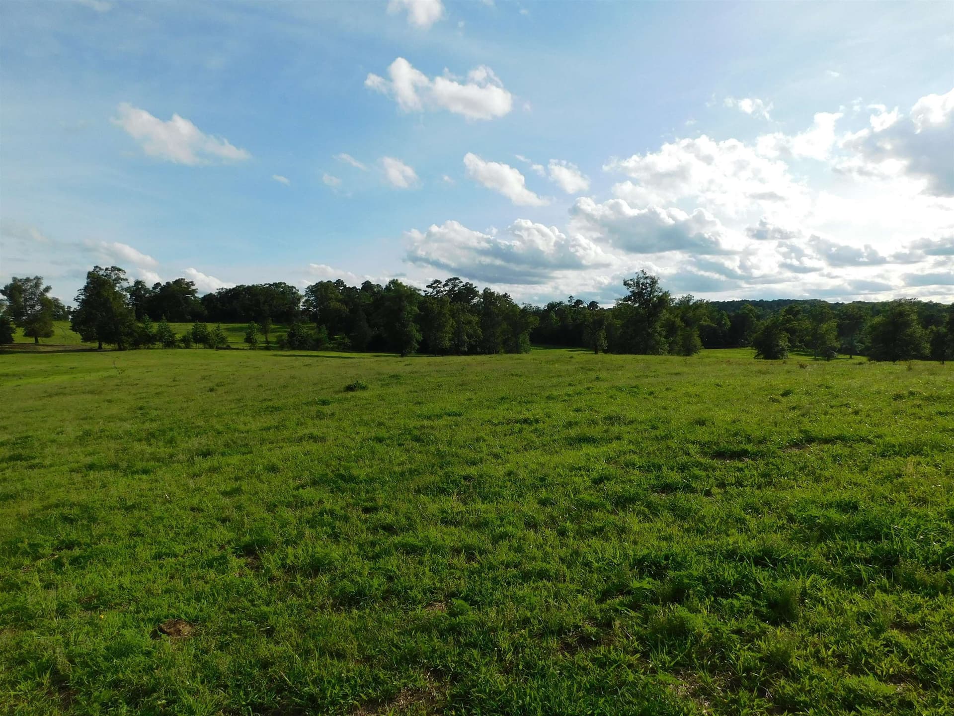 6.5 acres in Texas County - photo 5