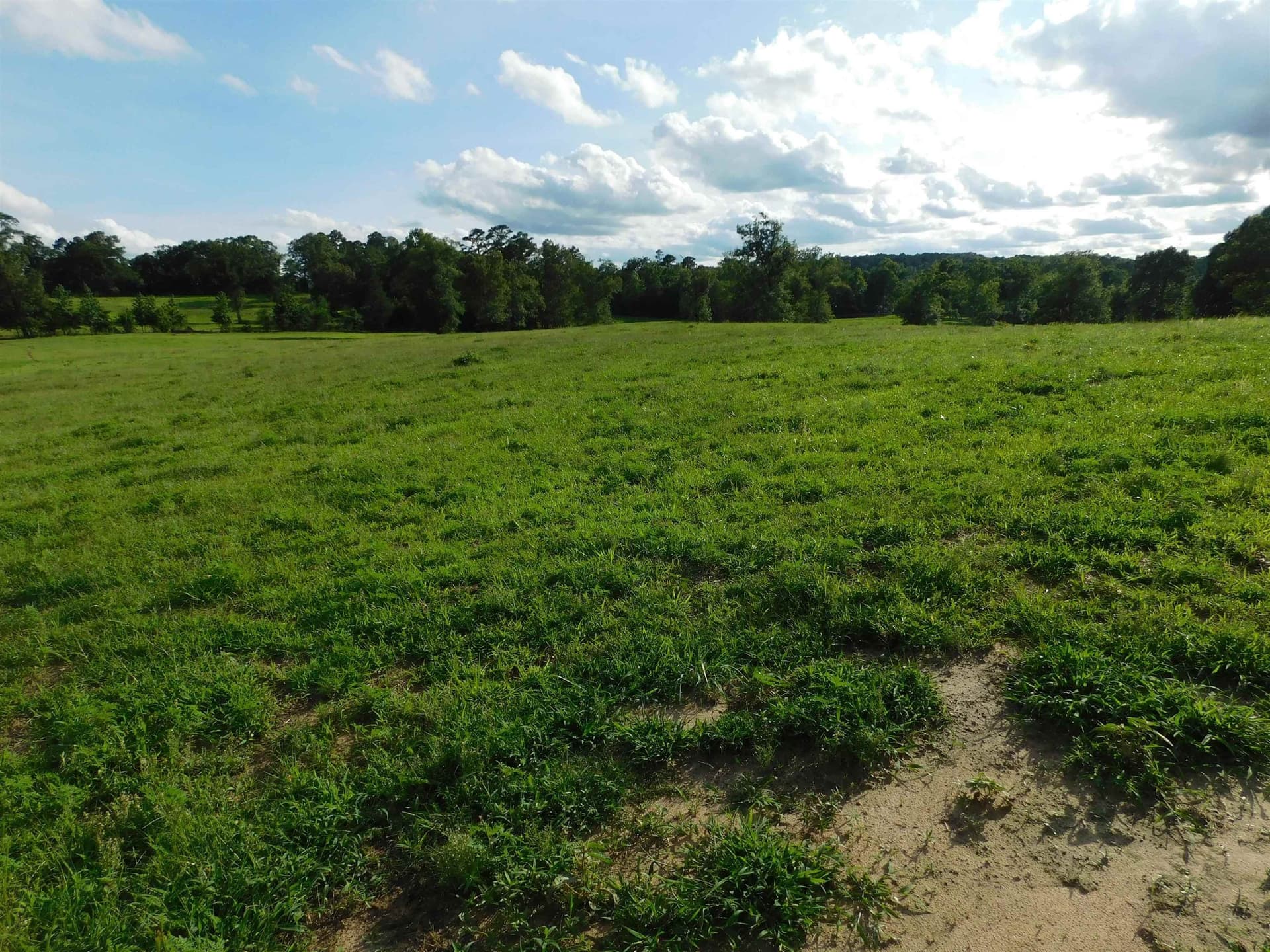 6.5 acres in Texas County - photo 3