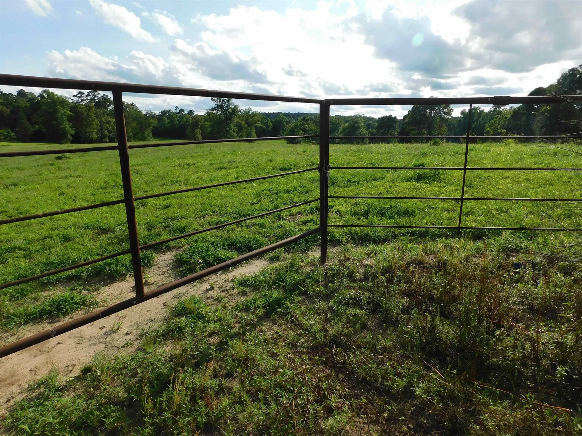 6.5 acres in Texas County - photo 6