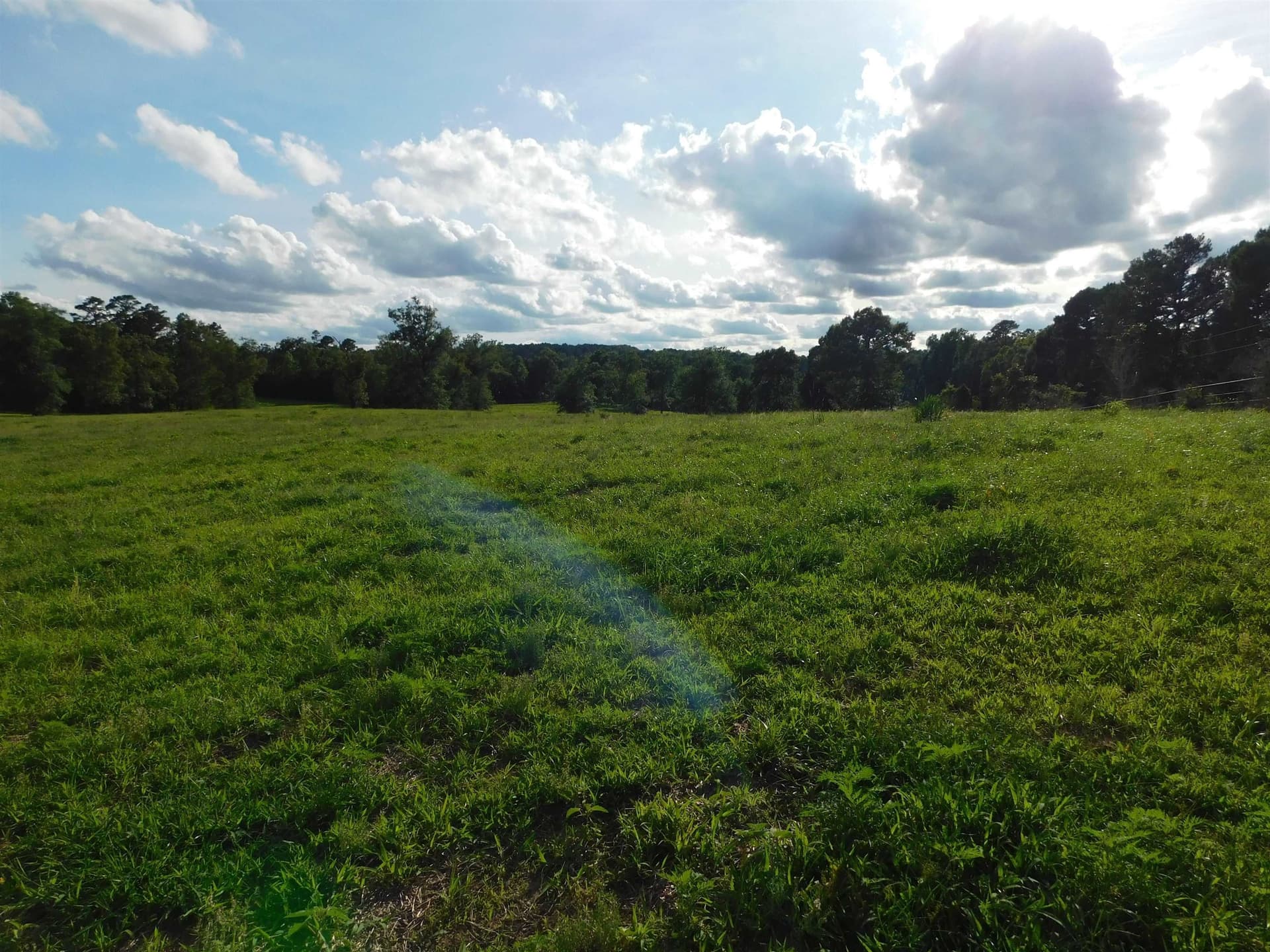 6.5 acres in Texas County - photo 4