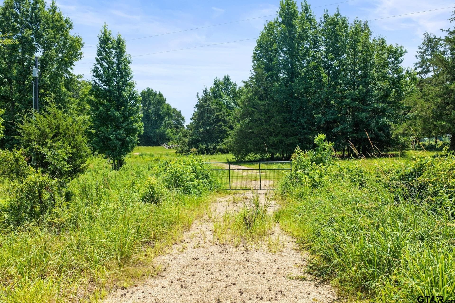 10 acres in Franklin County - photo 4