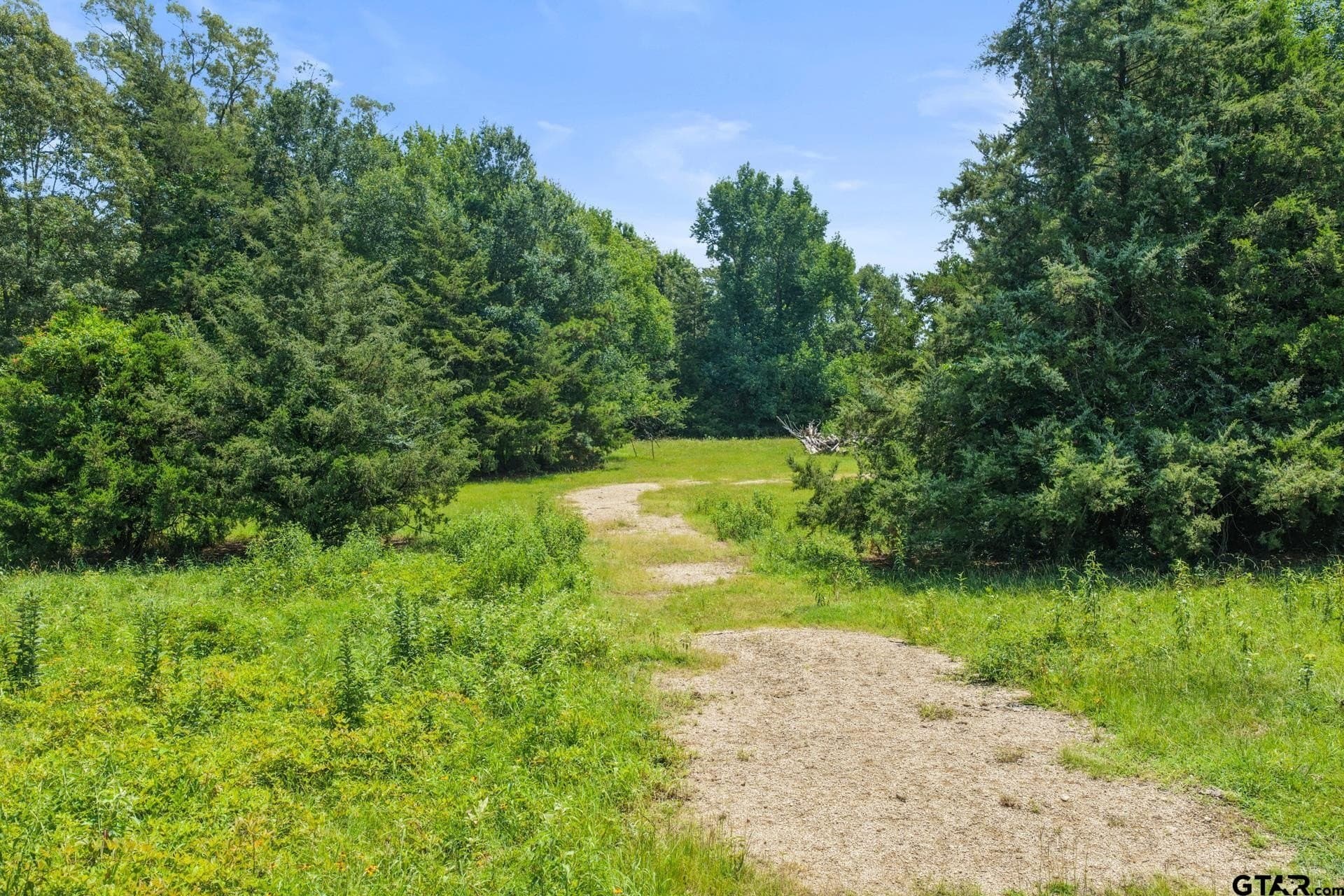 10 acres in Franklin County - photo 5
