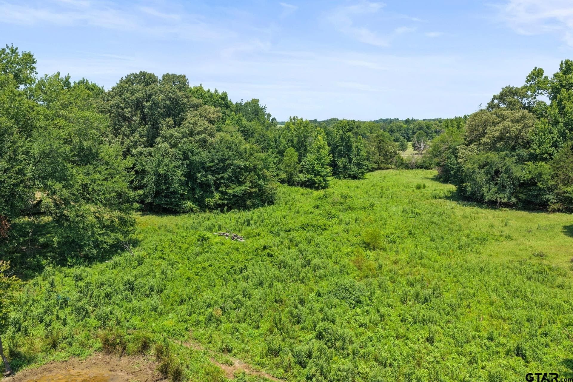 10 acres in Franklin County - photo 7