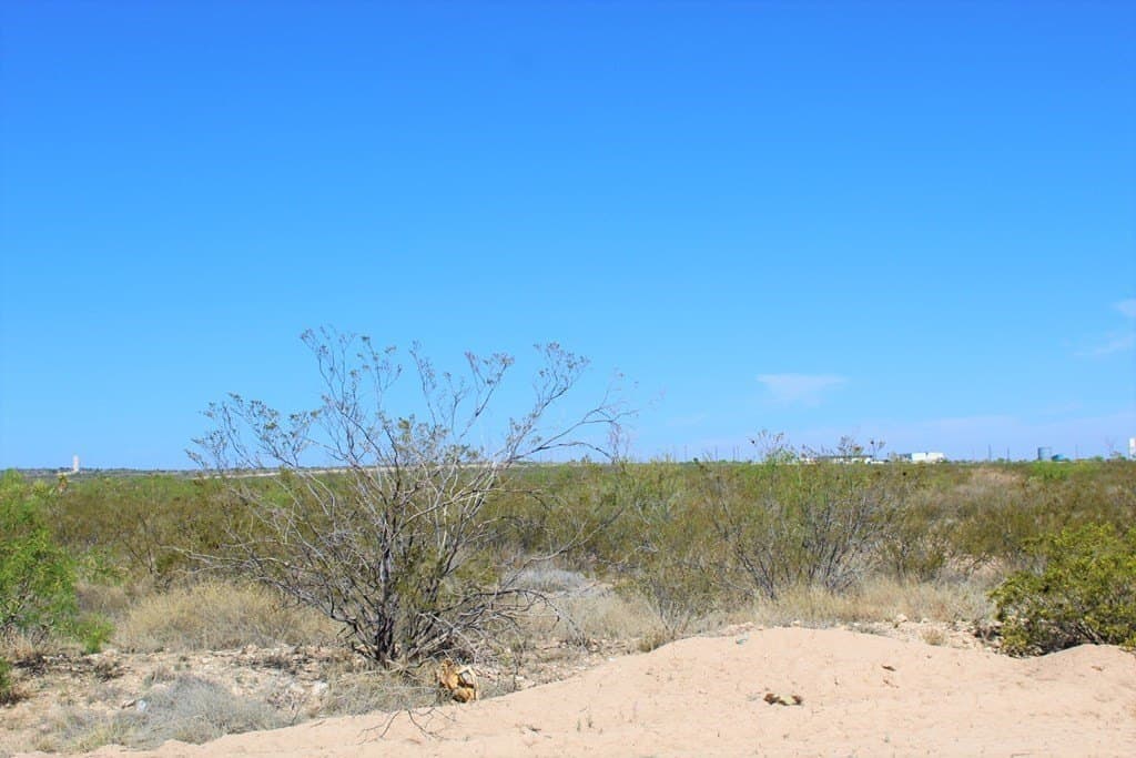 0 acres in Pecos County - photo 13