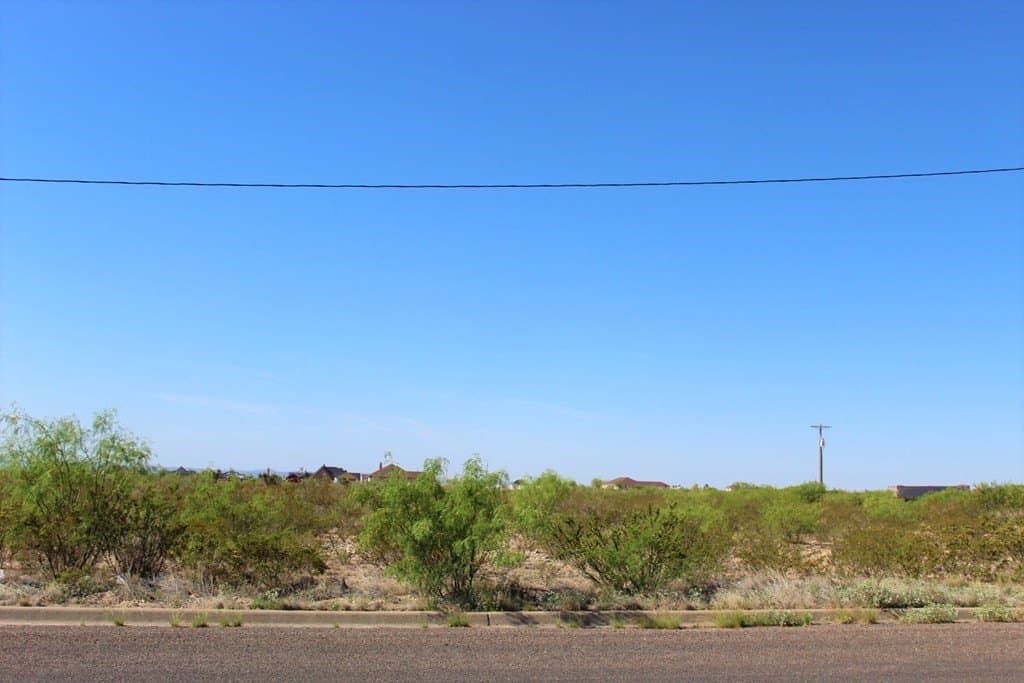 0 acres in Pecos County - photo 3
