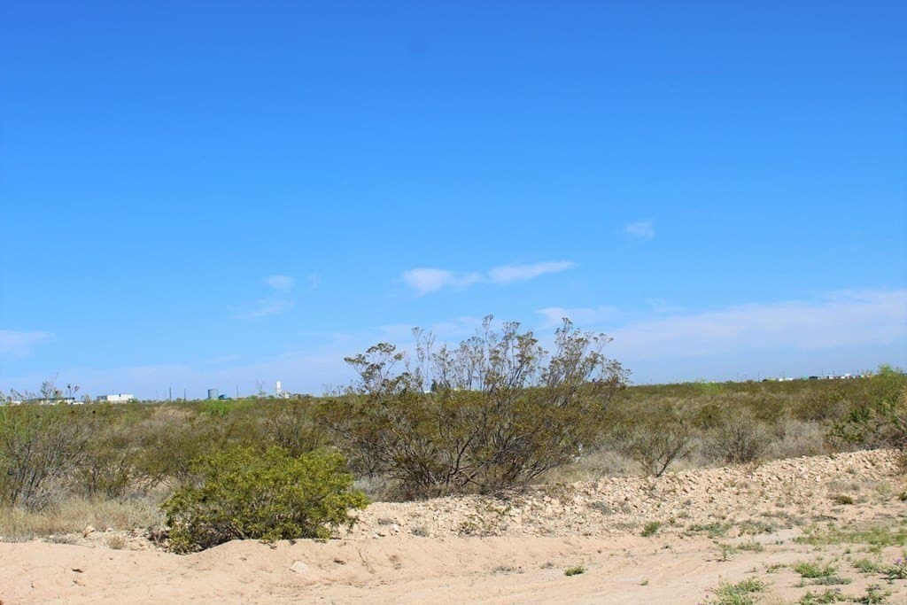 0 acres in Pecos County - photo 12
