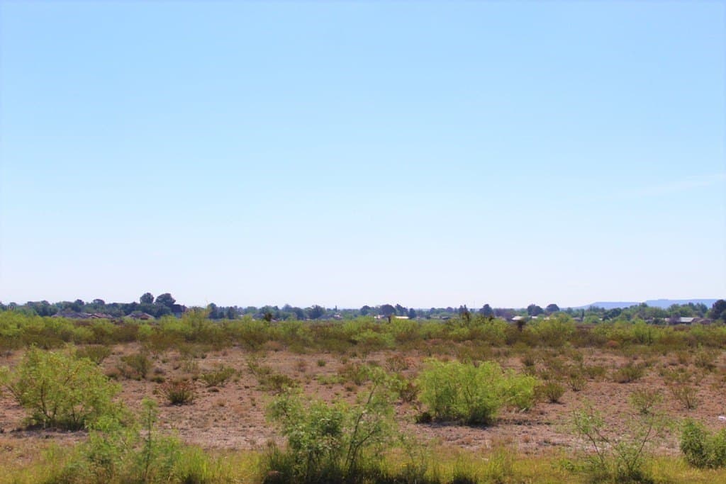 0 acres in Pecos County - photo 5